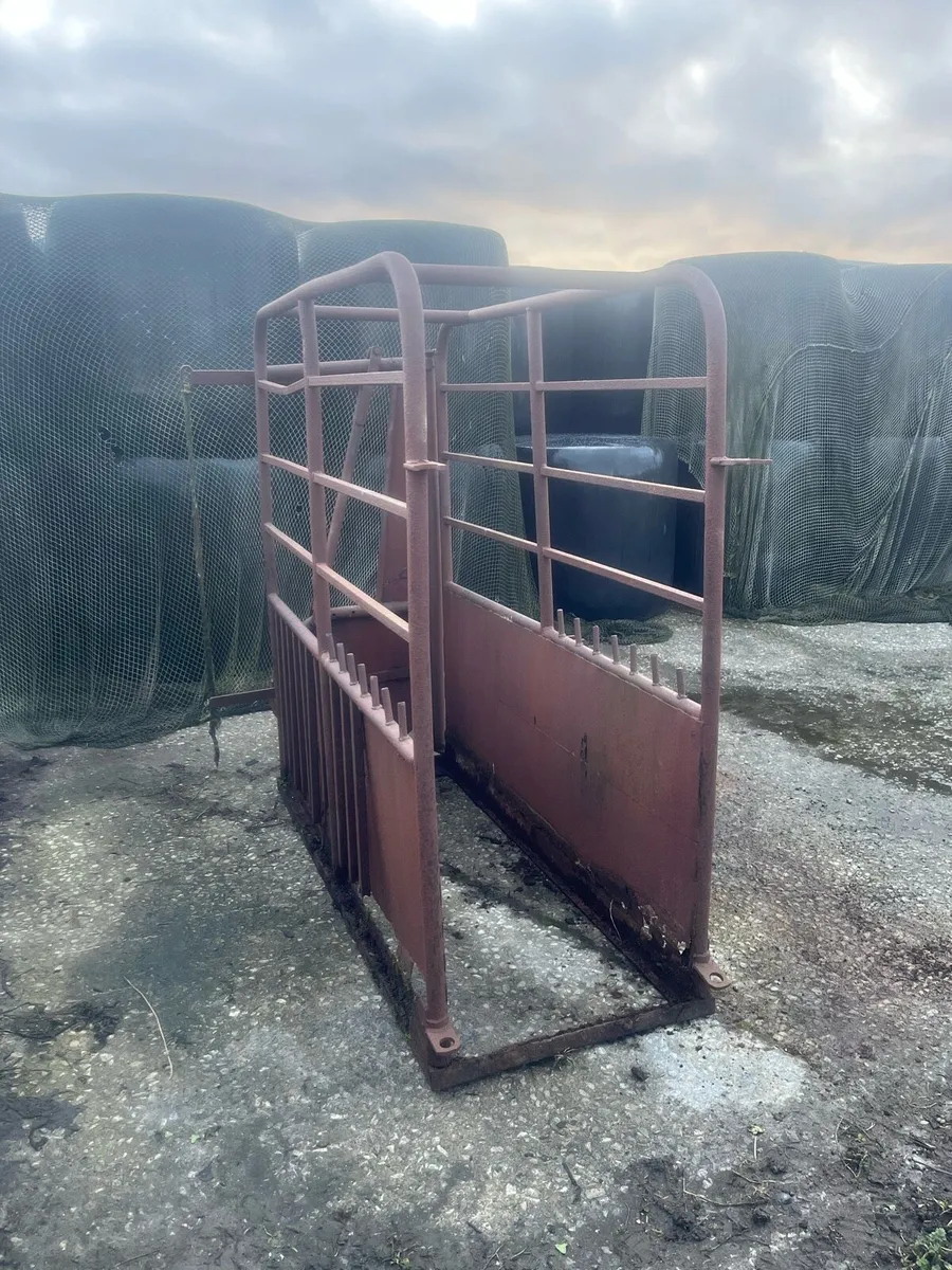 Cattle crush - Image 4