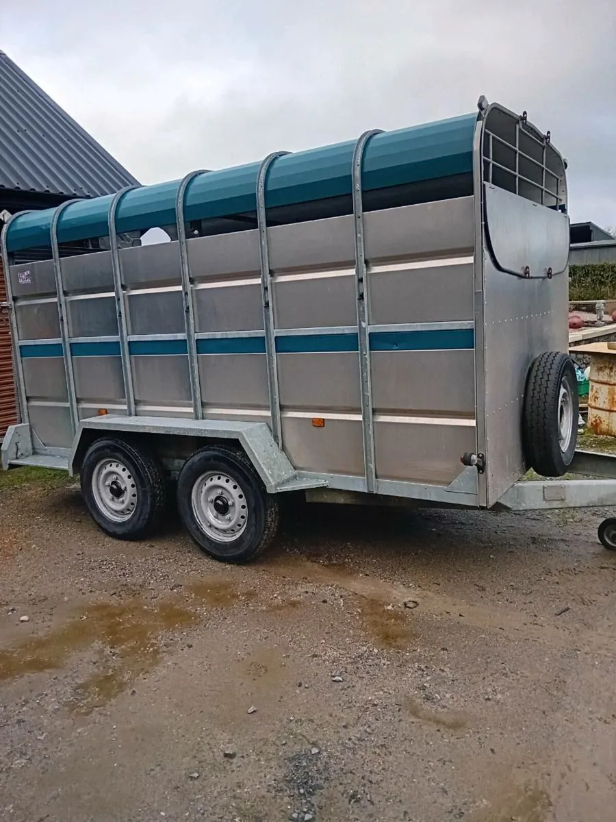 12x6 tuffmac cattle trailer - Image 1