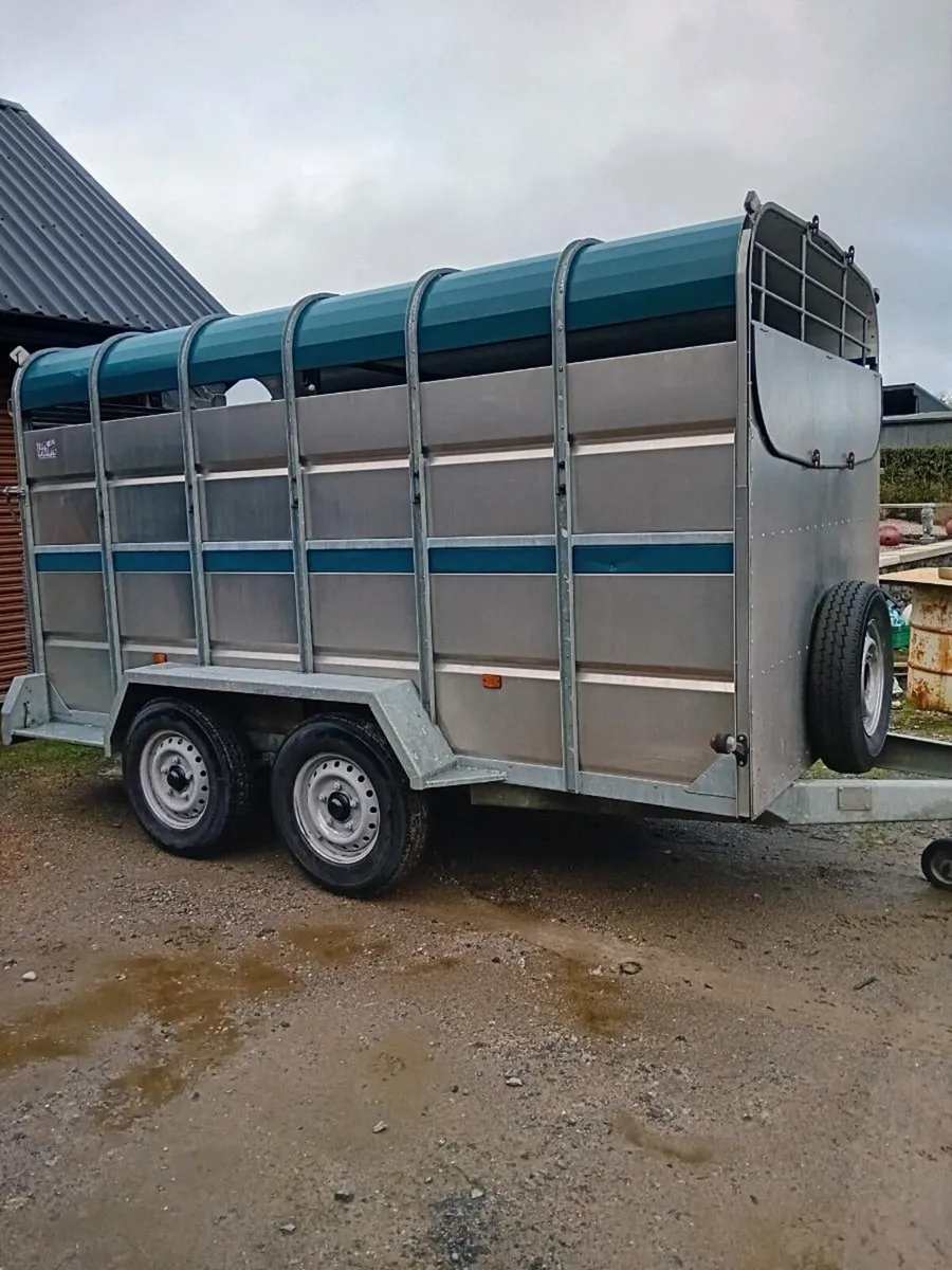 12x6 tuffmac cattle trailer - Image 2