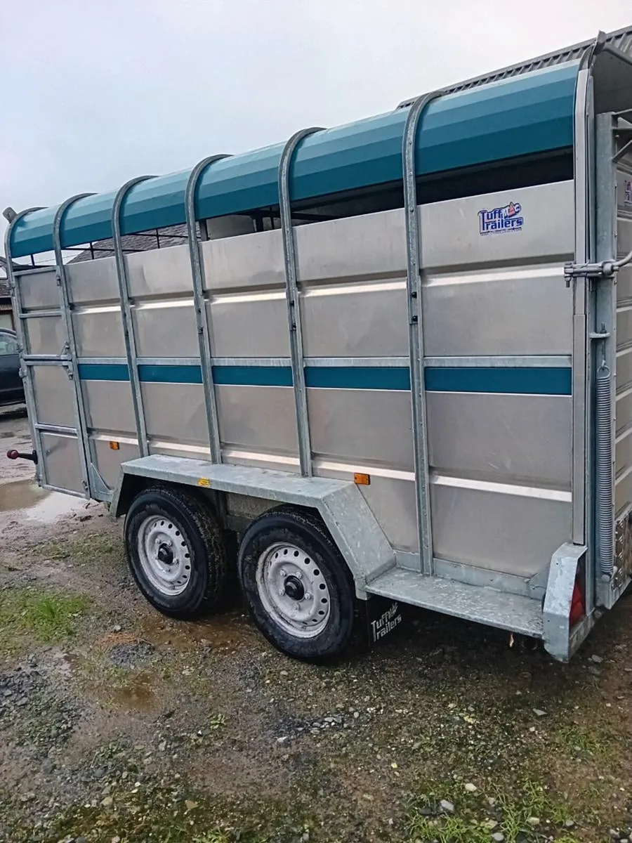 12x6 tuffmac cattle trailer - Image 3