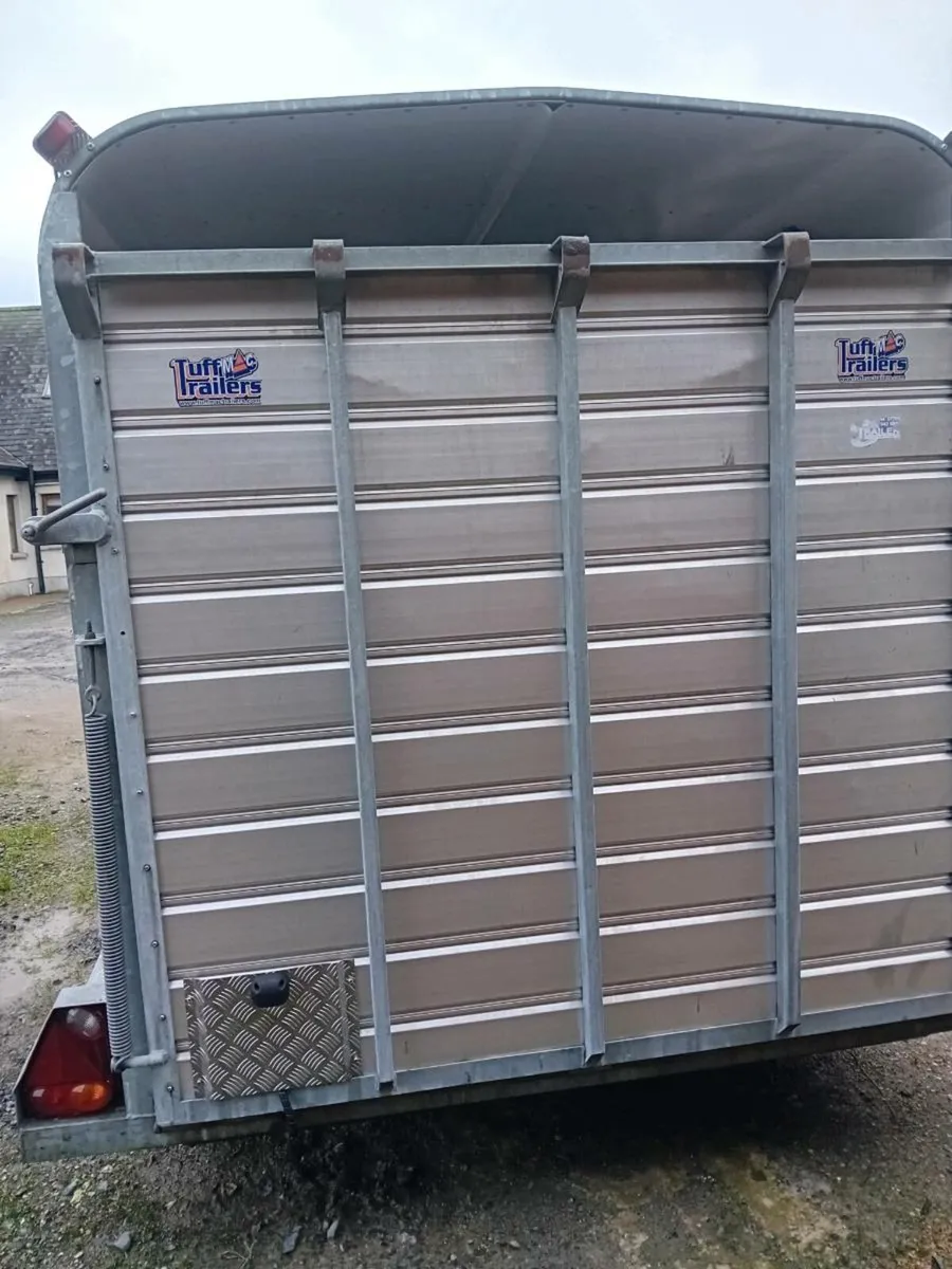 12x6 tuffmac cattle trailer - Image 4