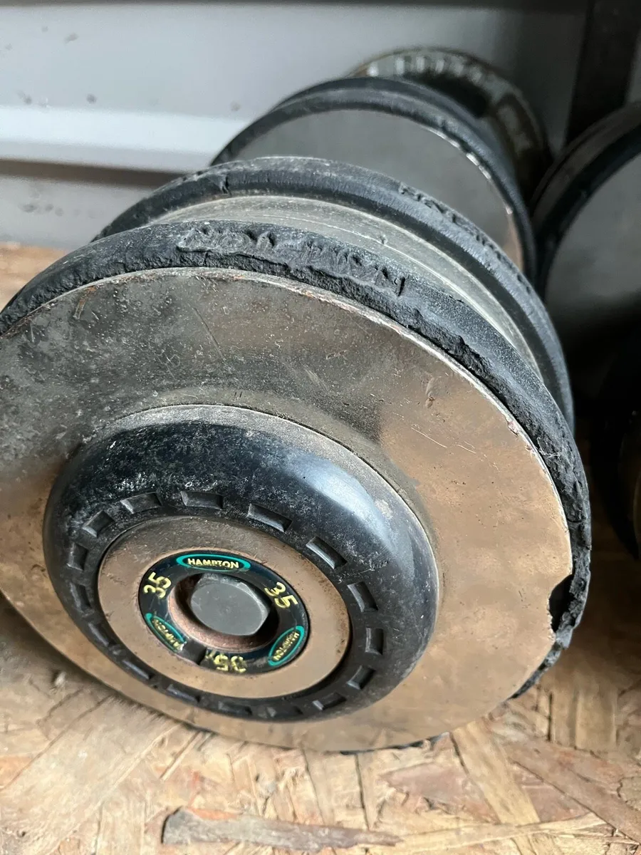 2x35kg hampton commercial chrome dumbbells - Image 2