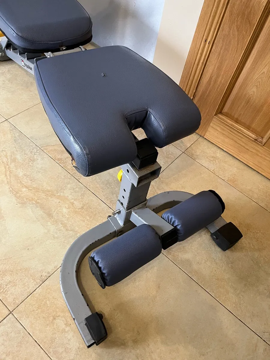 Impulse adjustable fid weight bench - Image 4