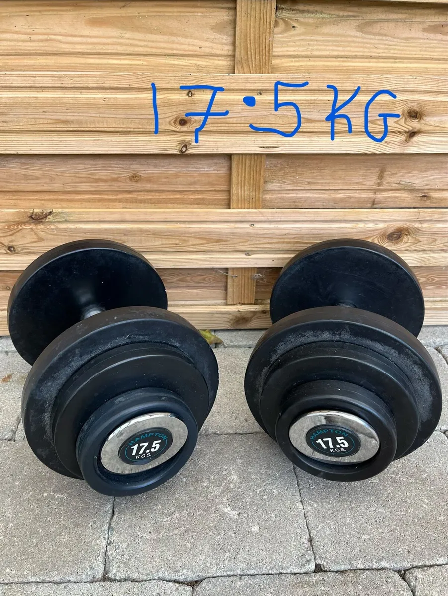 22kg,20kg,17.5kg,15kg,10kg,5kg,2.5kg dumbbells - Image 3