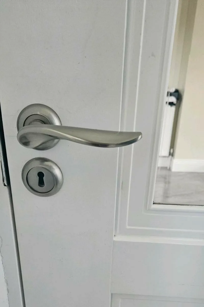 Franklin interior door and door handle - Image 4