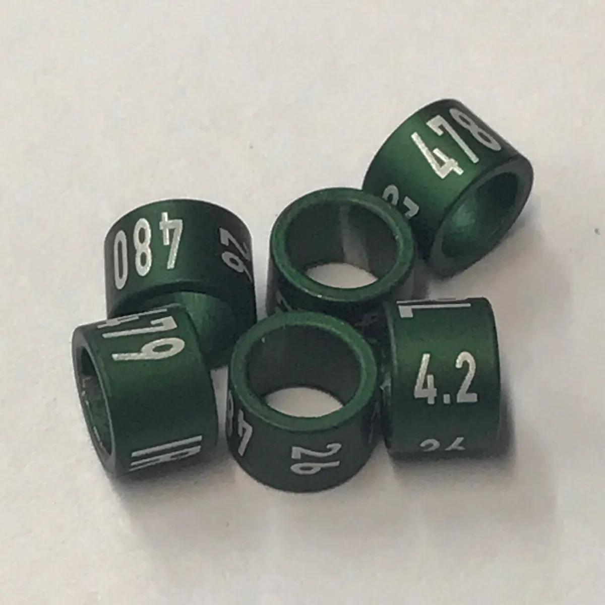 2026 Bird Rings available now - Image 1