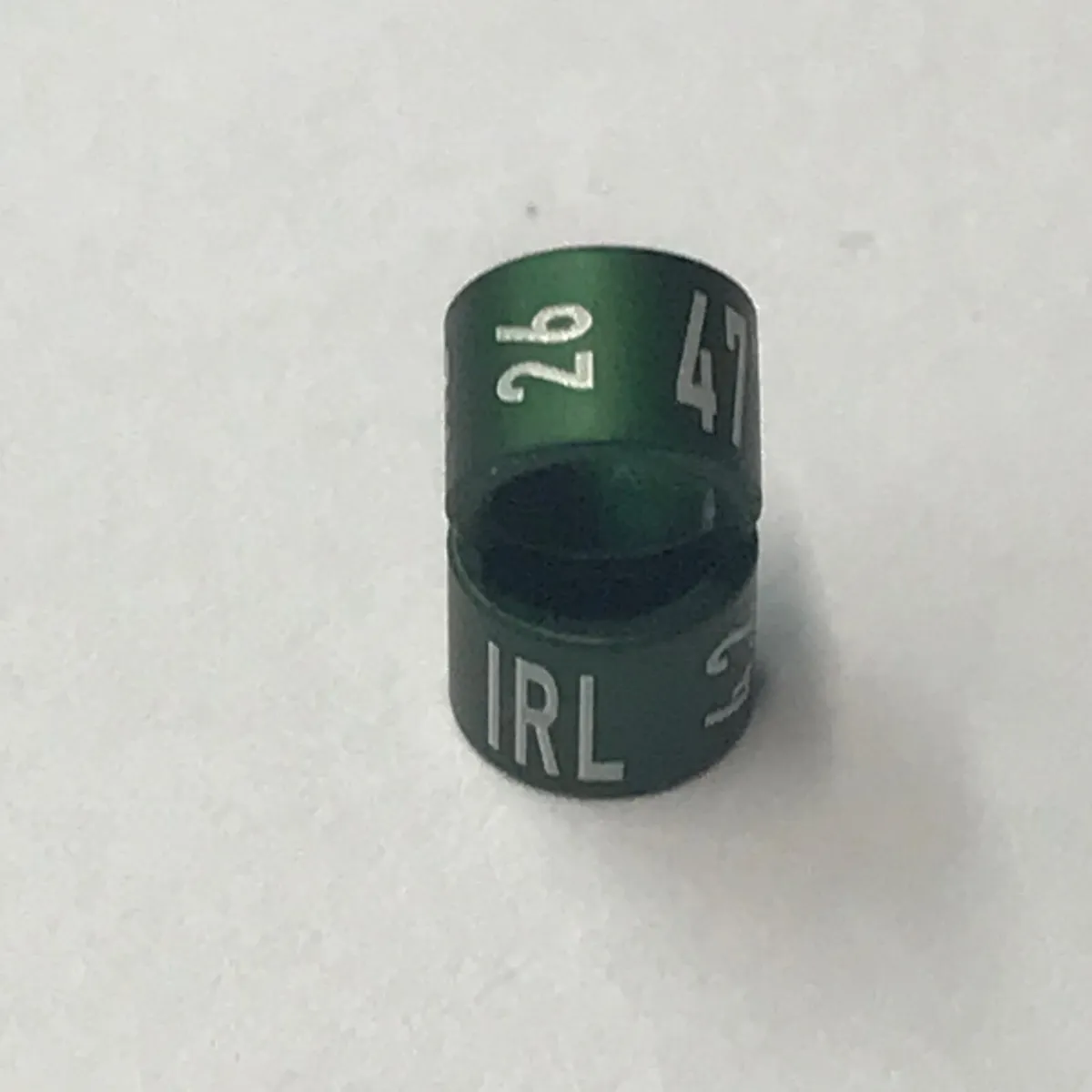 2026 Bird Rings available now - Image 2