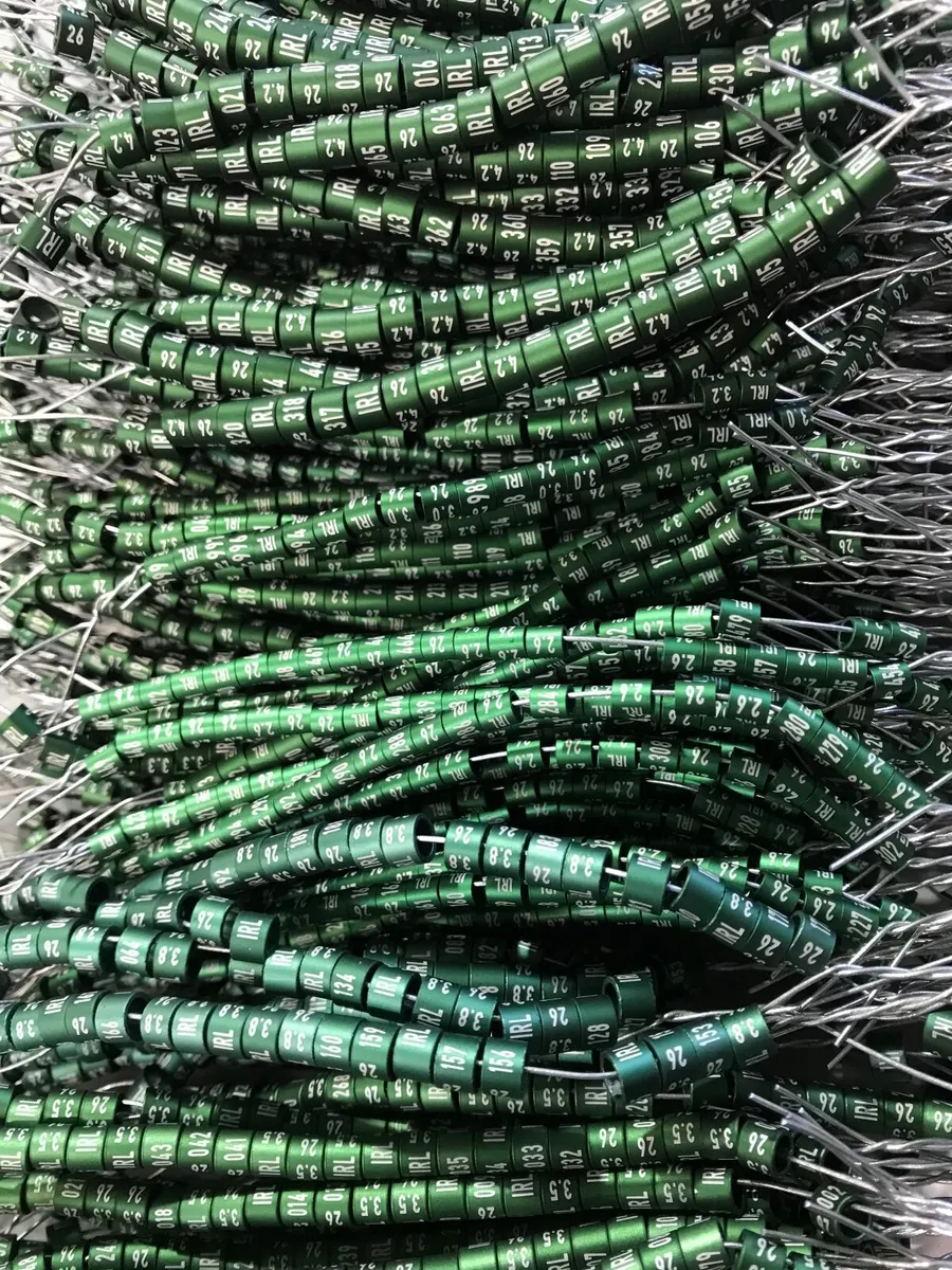 2026 Bird Rings available now - Image 3