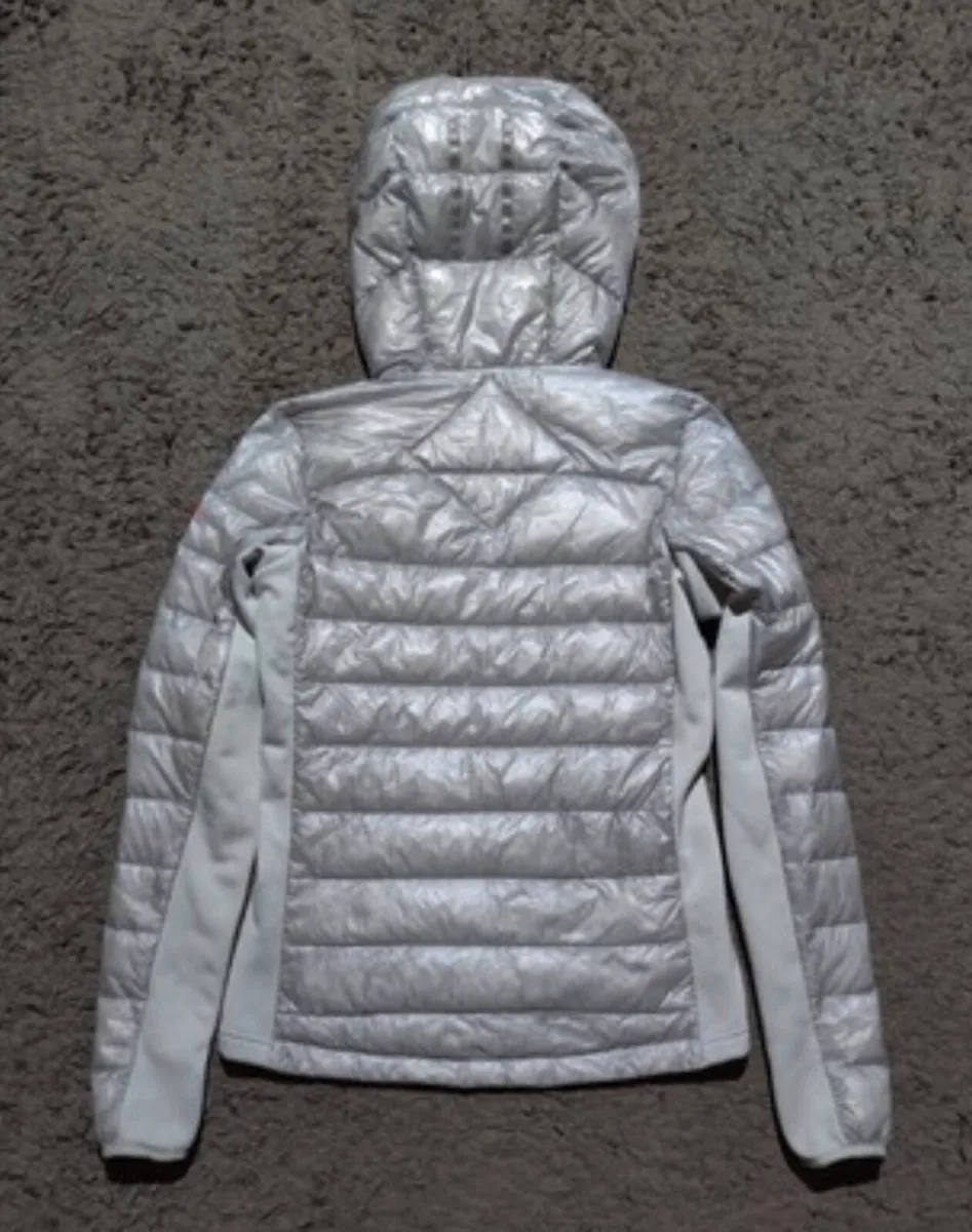 Canada goose - Image 2