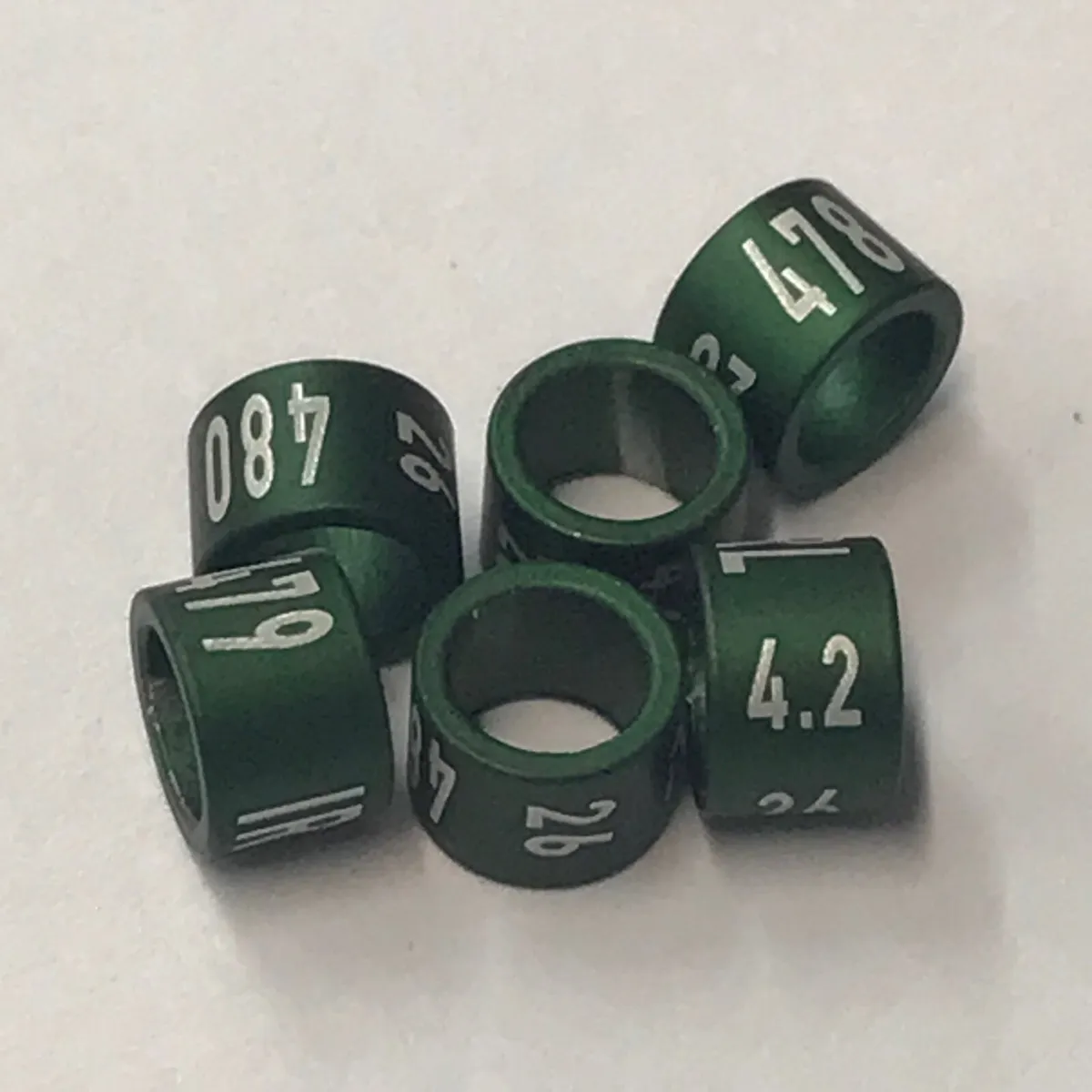 2026 Bird Rings available now - Image 4