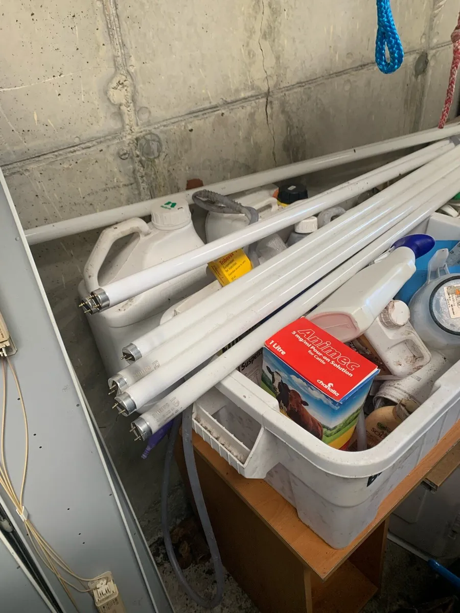 Shed Lights - Image 1