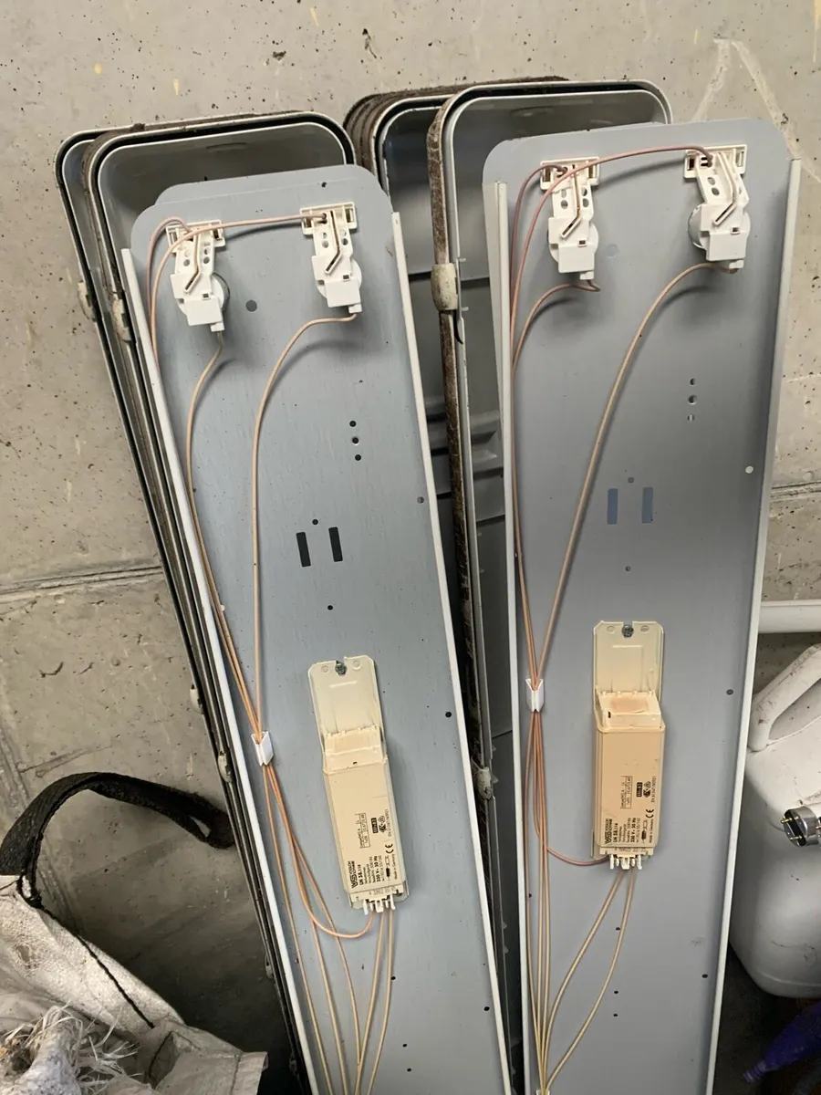 Shed Lights - Image 2