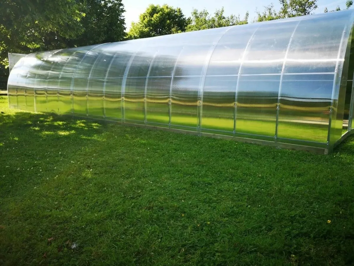 TITAN 3 Polycarbonate Greenhouse/Polytunnel - Image 4