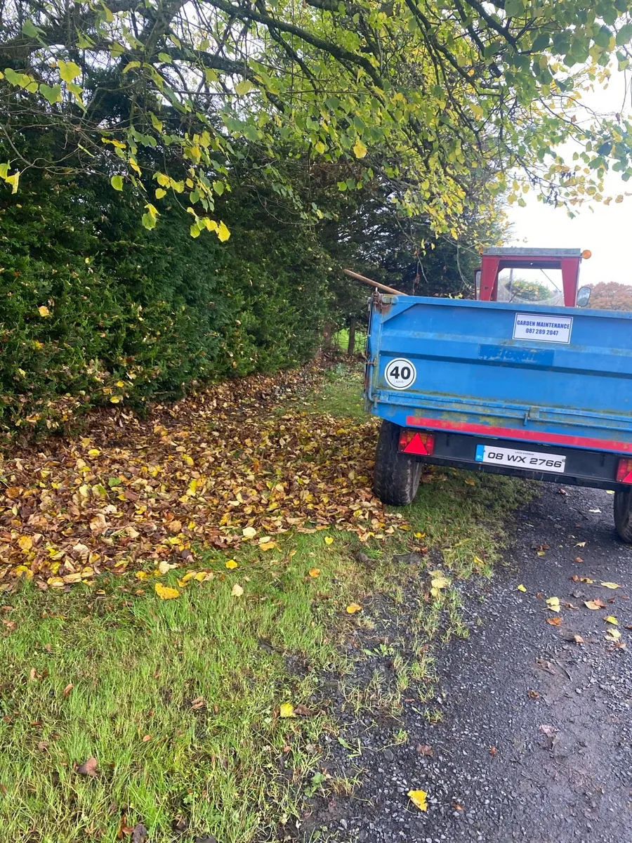 Garden maintenance - Image 1