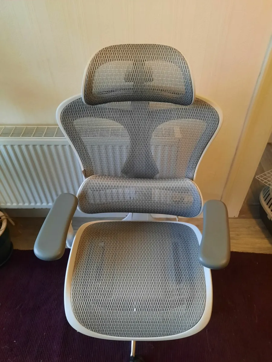 Sihoo Doro C300 Ergonomic Office Chair - Image 1