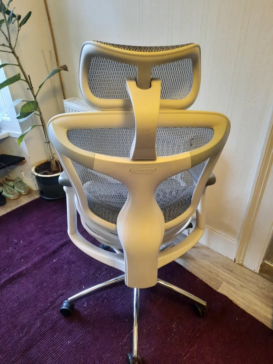 Sihoo Doro C300 Ergonomic Office Chair - Image 2