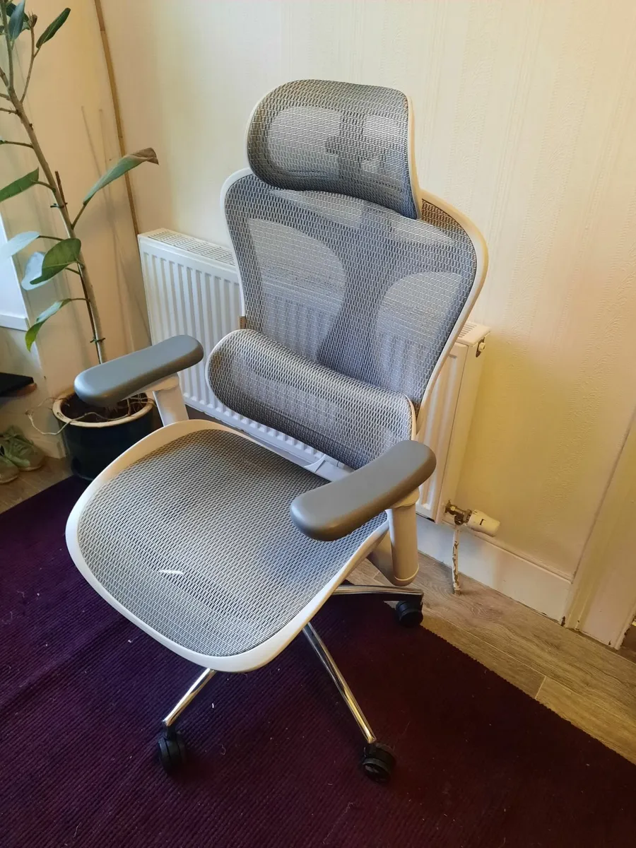 Sihoo Doro C300 Ergonomic Office Chair - Image 3