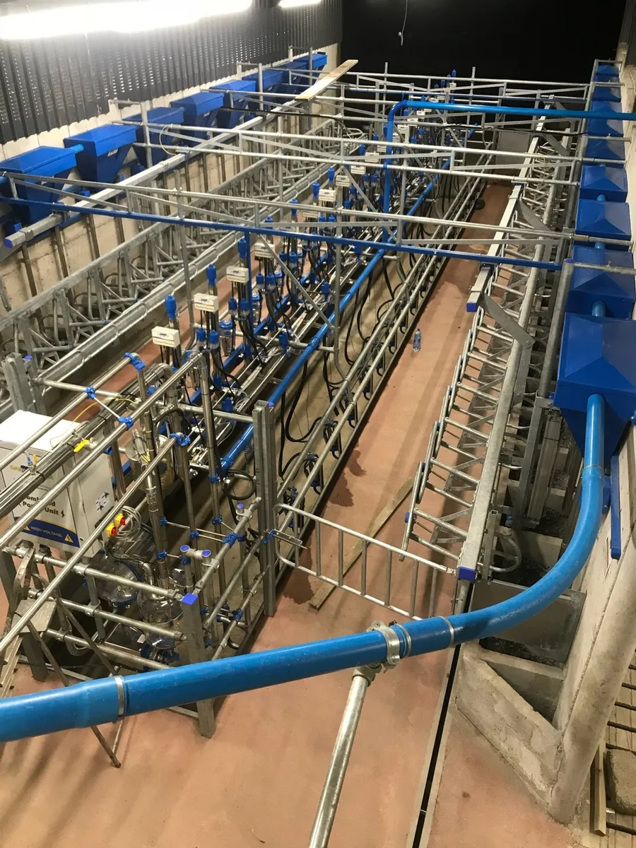 Dairy farm worker wanted