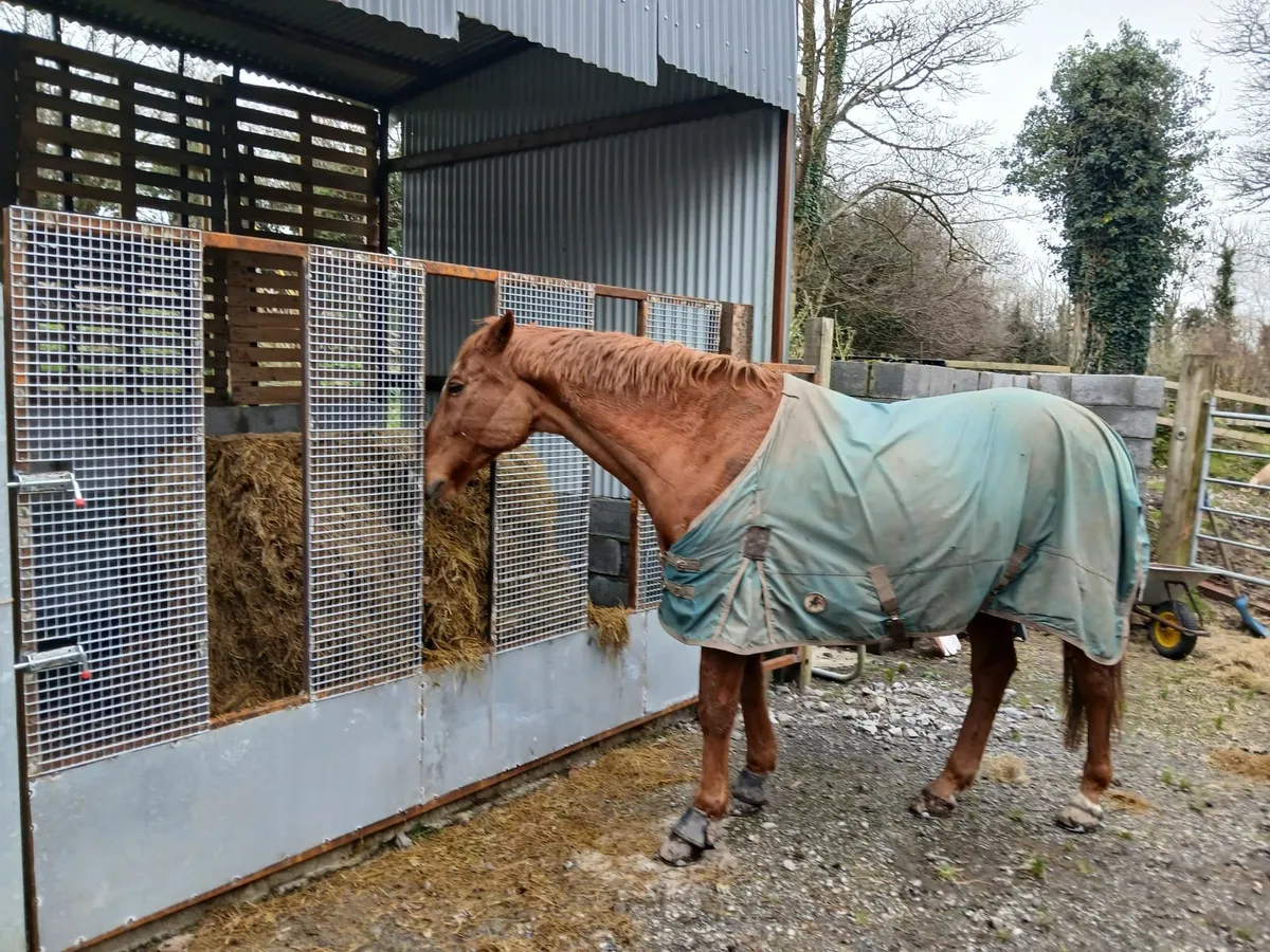 Horse/ Cattle feedgates - Image 1