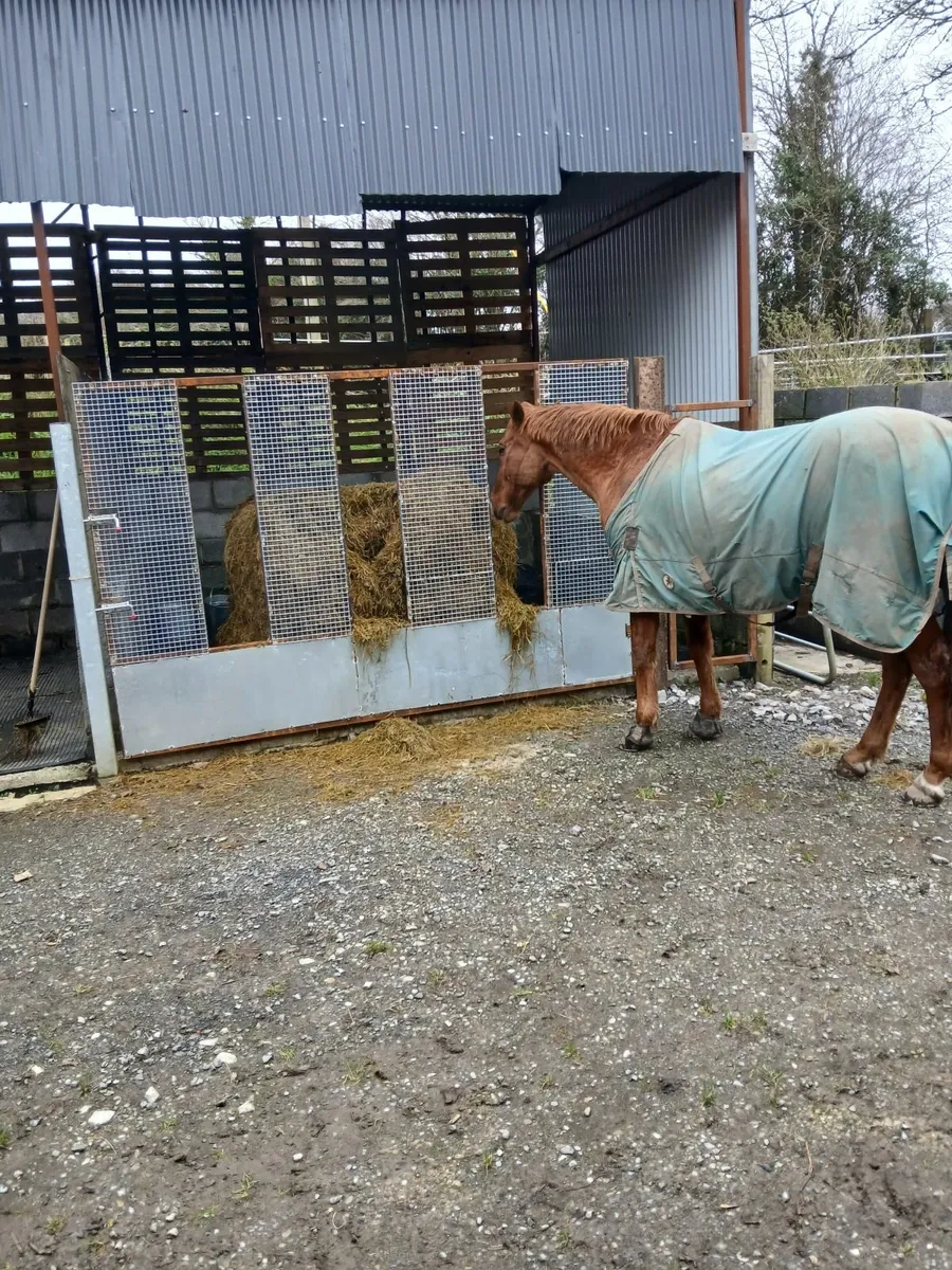Horse/ Cattle feedgates - Image 3