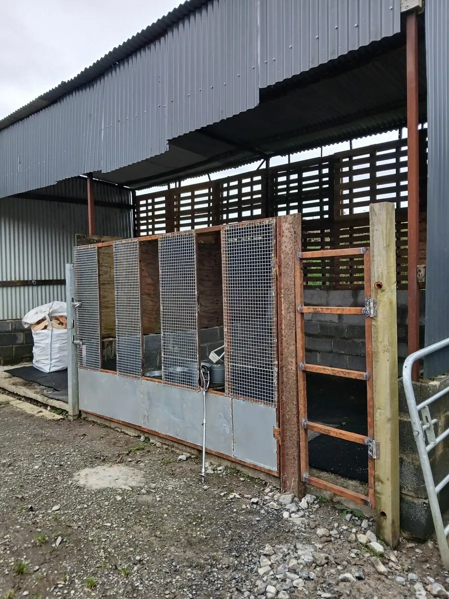 Horse/ Cattle feedgates - Image 4