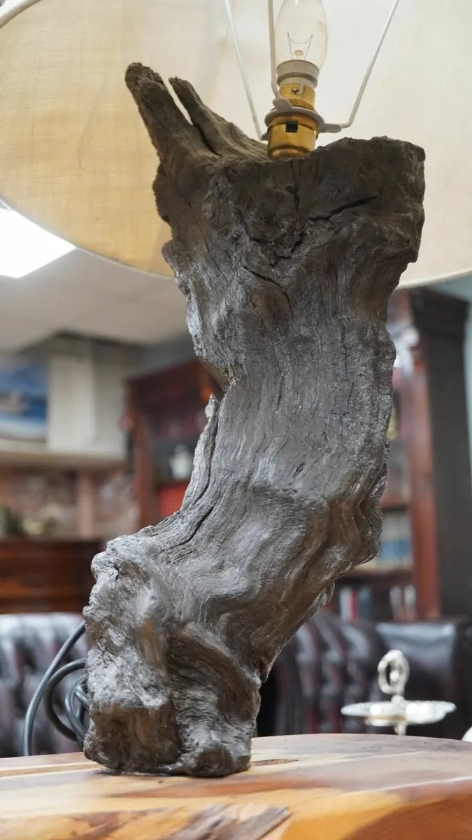 Bog Oak Sentinel_Bog Oak Table Lamp - Image 3