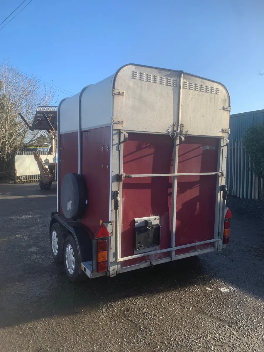 Ifor Williams 505 red horse box - Image 2