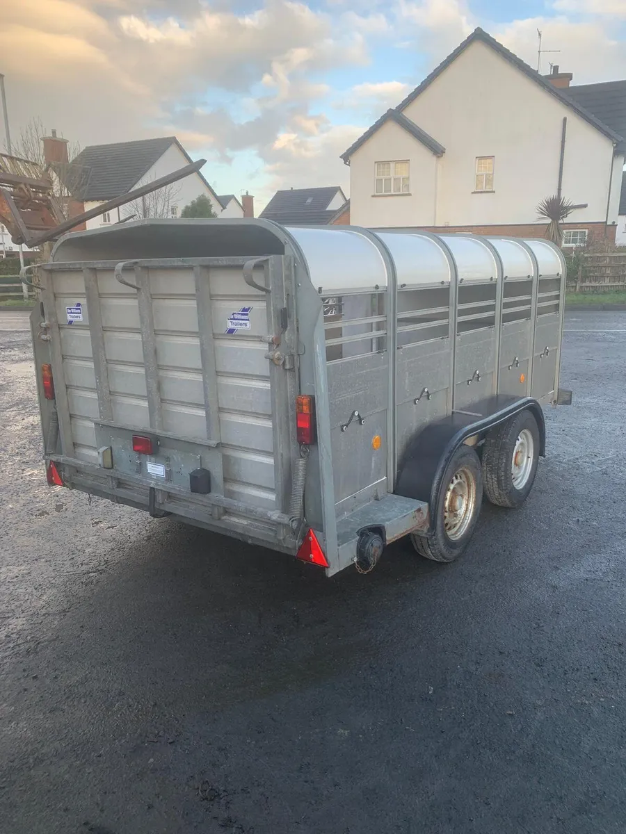Ifor Williams 10ft sheep trailer - Image 2