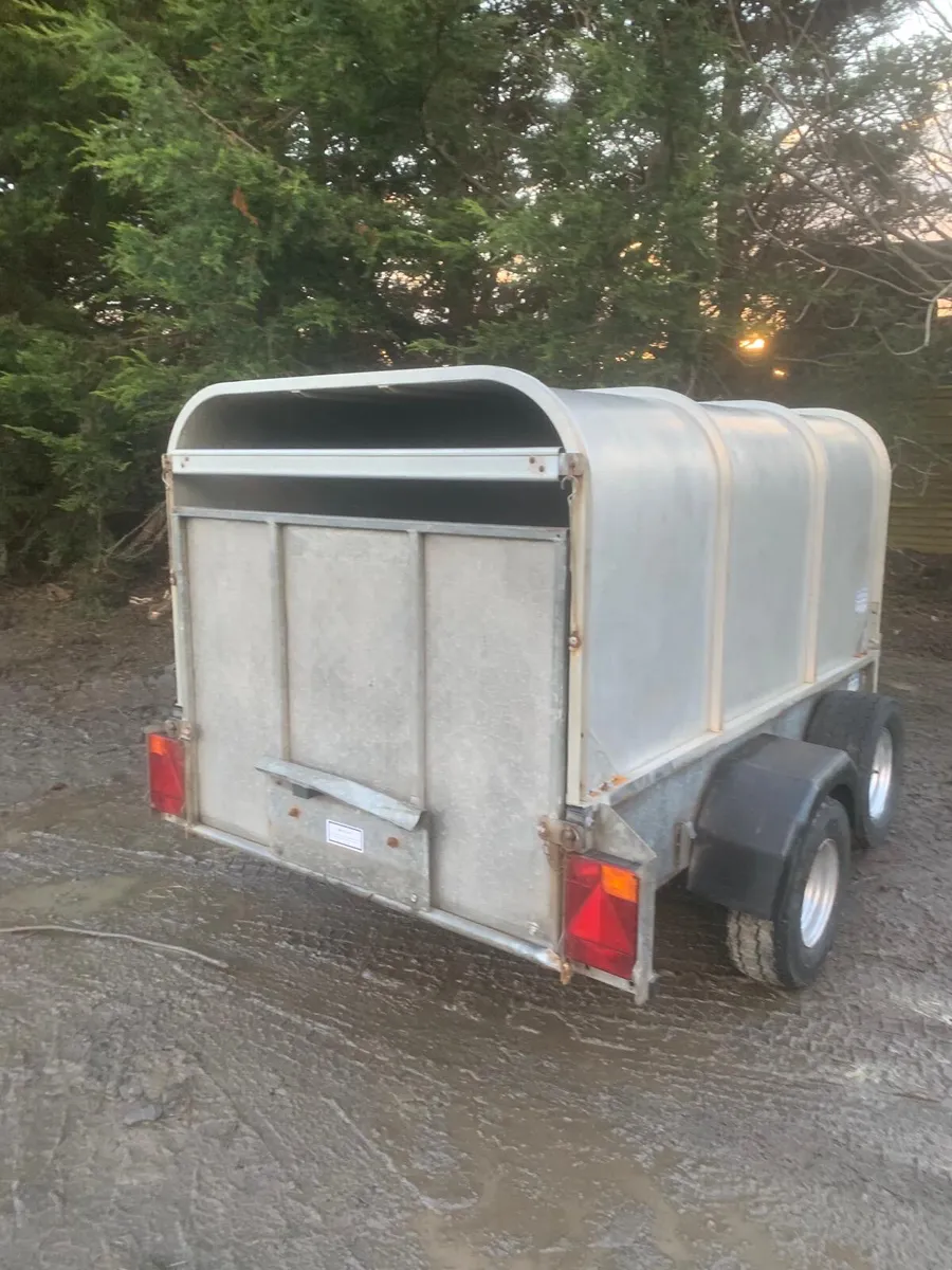 Ifor Williams P6E sheep trailer - Image 2