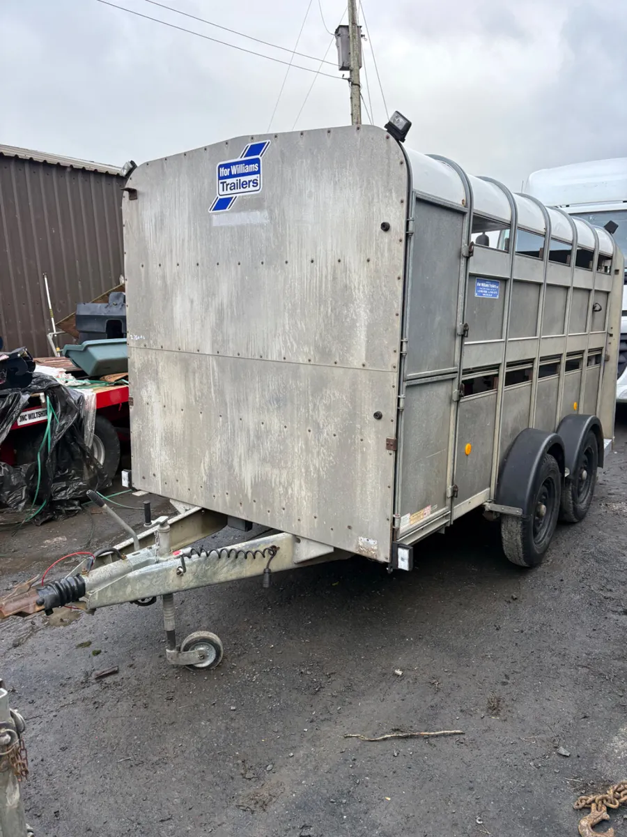 Ifor Williams 12ft cattle trailer - Image 1