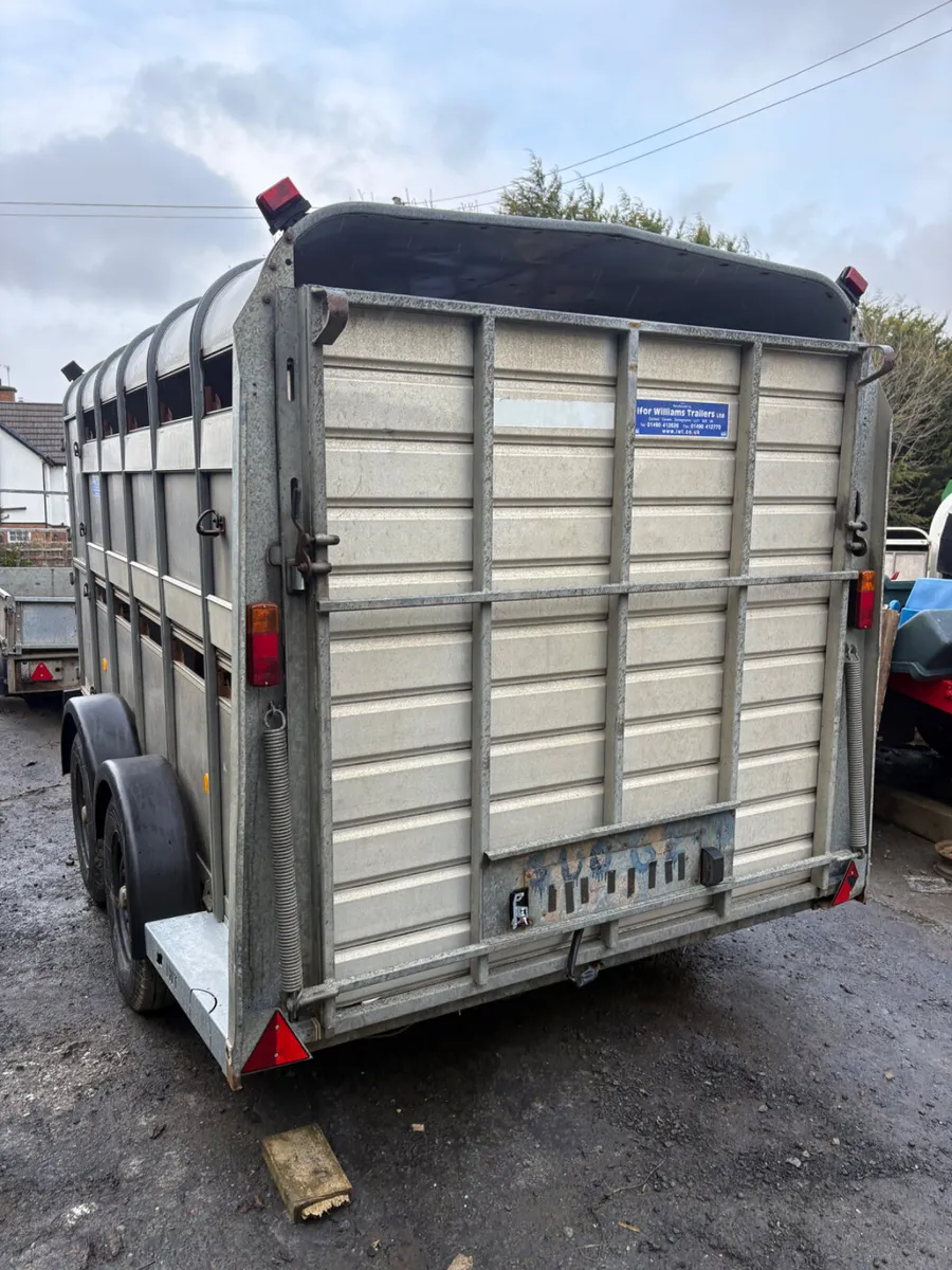 Ifor Williams 12ft cattle trailer - Image 2