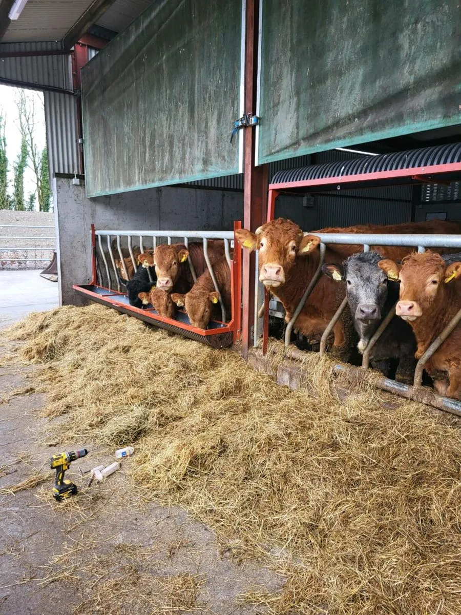 #Drop down feeding trough# - Image 1