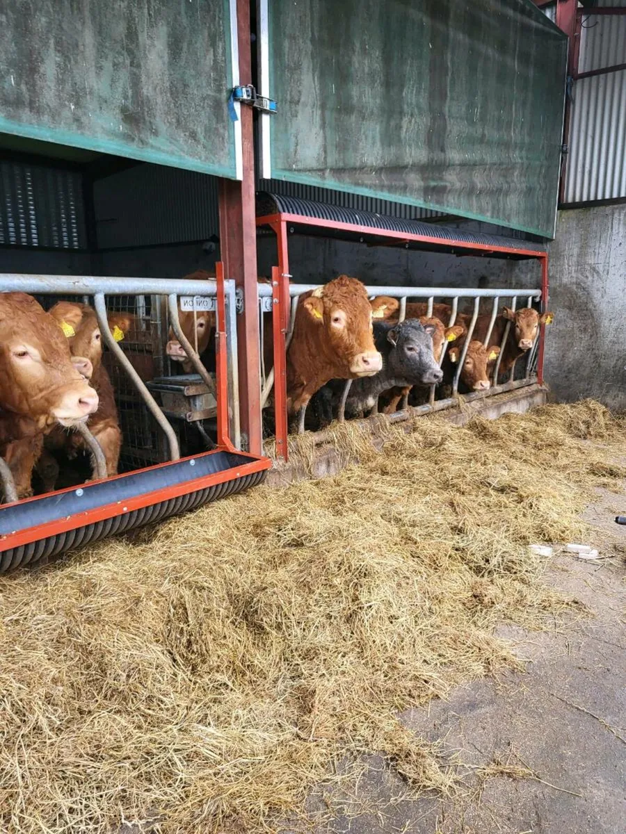 #Drop down feeding trough# - Image 3