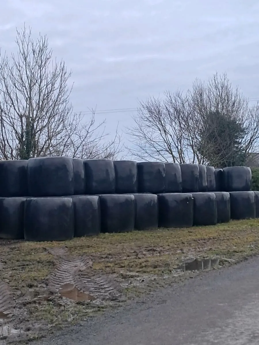 Silage hayage