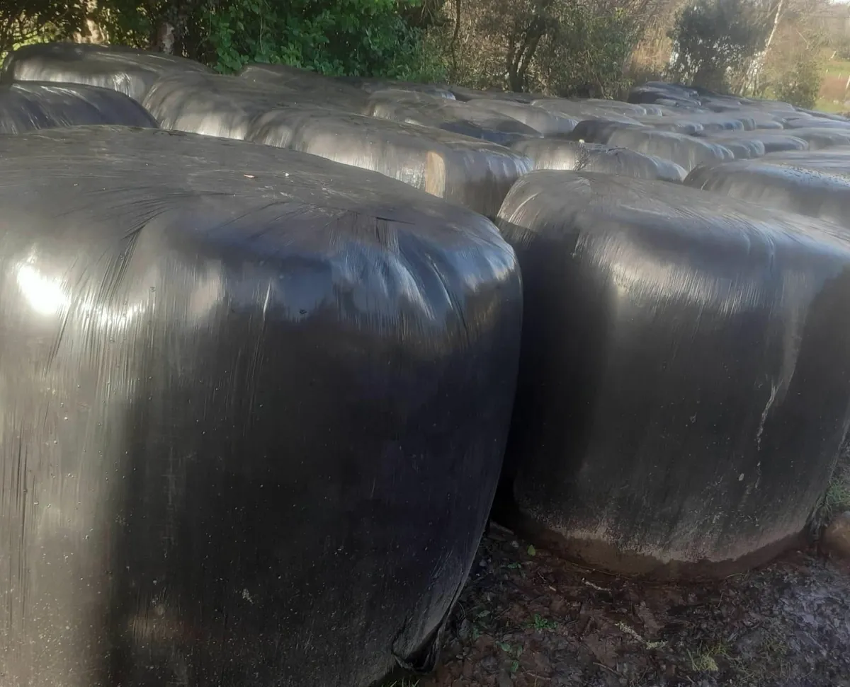 Silage Bales