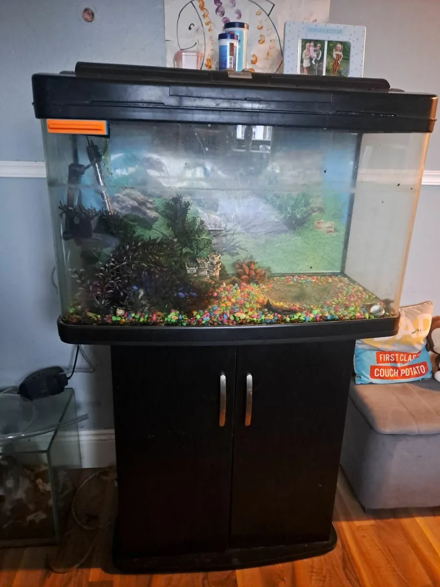 Fish tank - Image 2