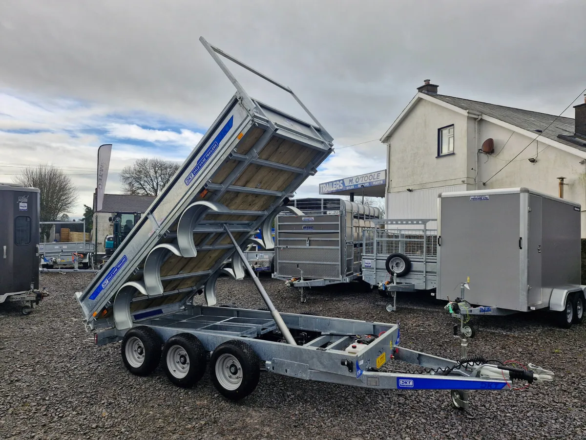 DALE KANE  12' x 6' TRI AXLE   TIPPING TRAILER - Image 1