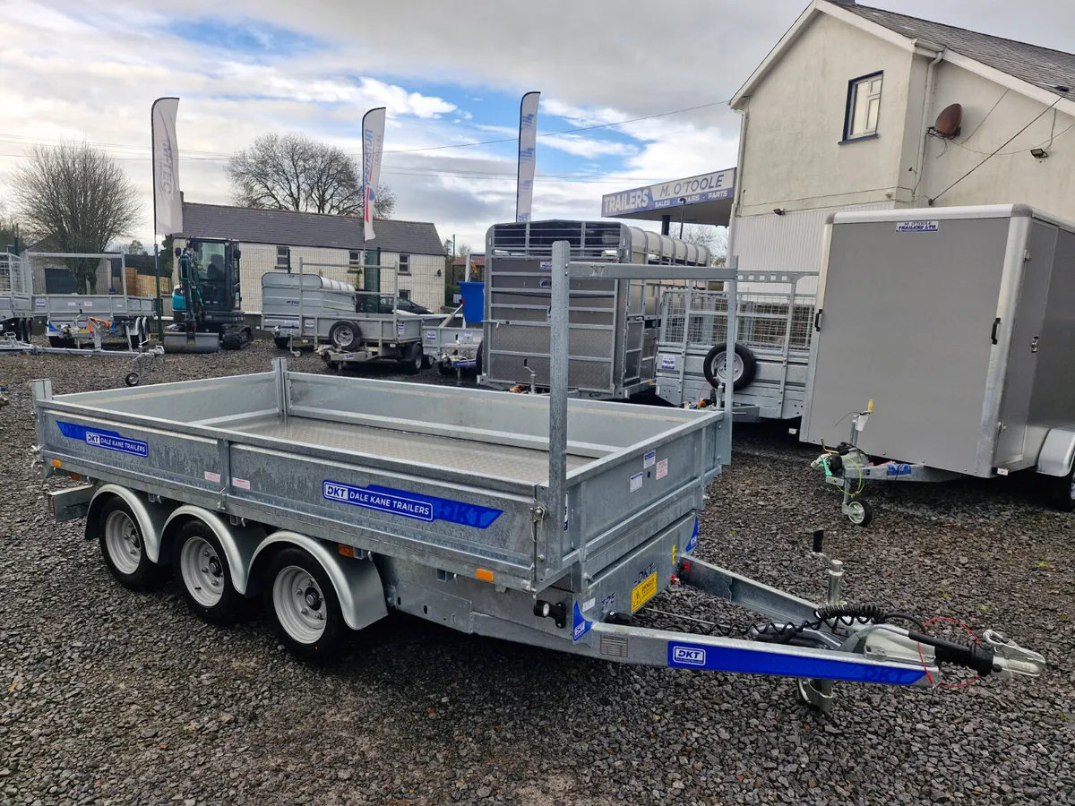 DALE KANE  12' x 6' TRI AXLE   TIPPING TRAILER - Image 2