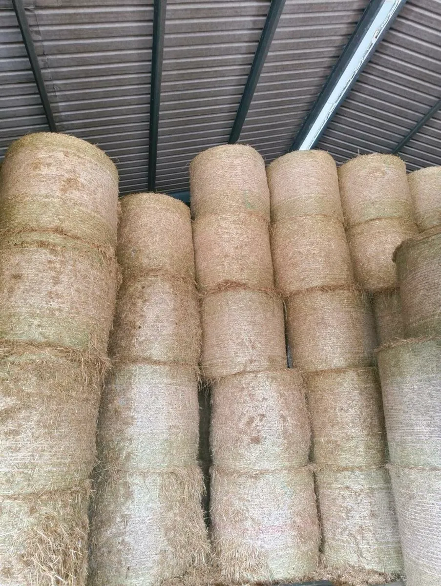 4x4 straw bales - Image 1