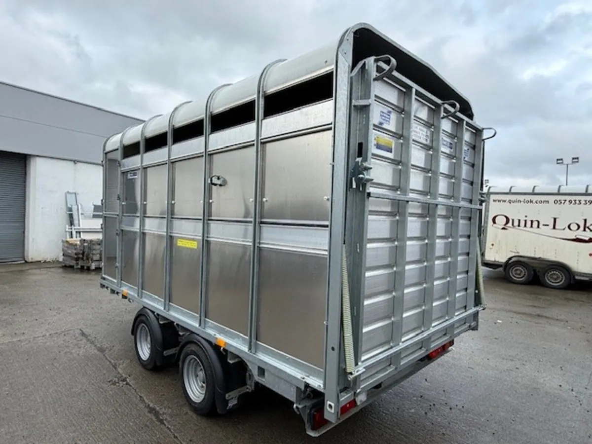 T3040882 New DP120 12' x 6'6" Livestock - Image 2