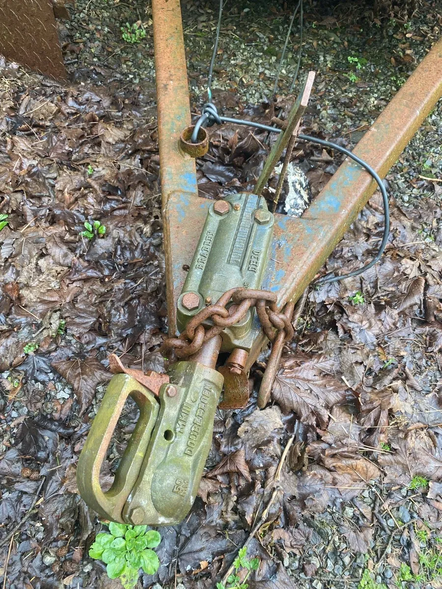 Car trailer - Image 4