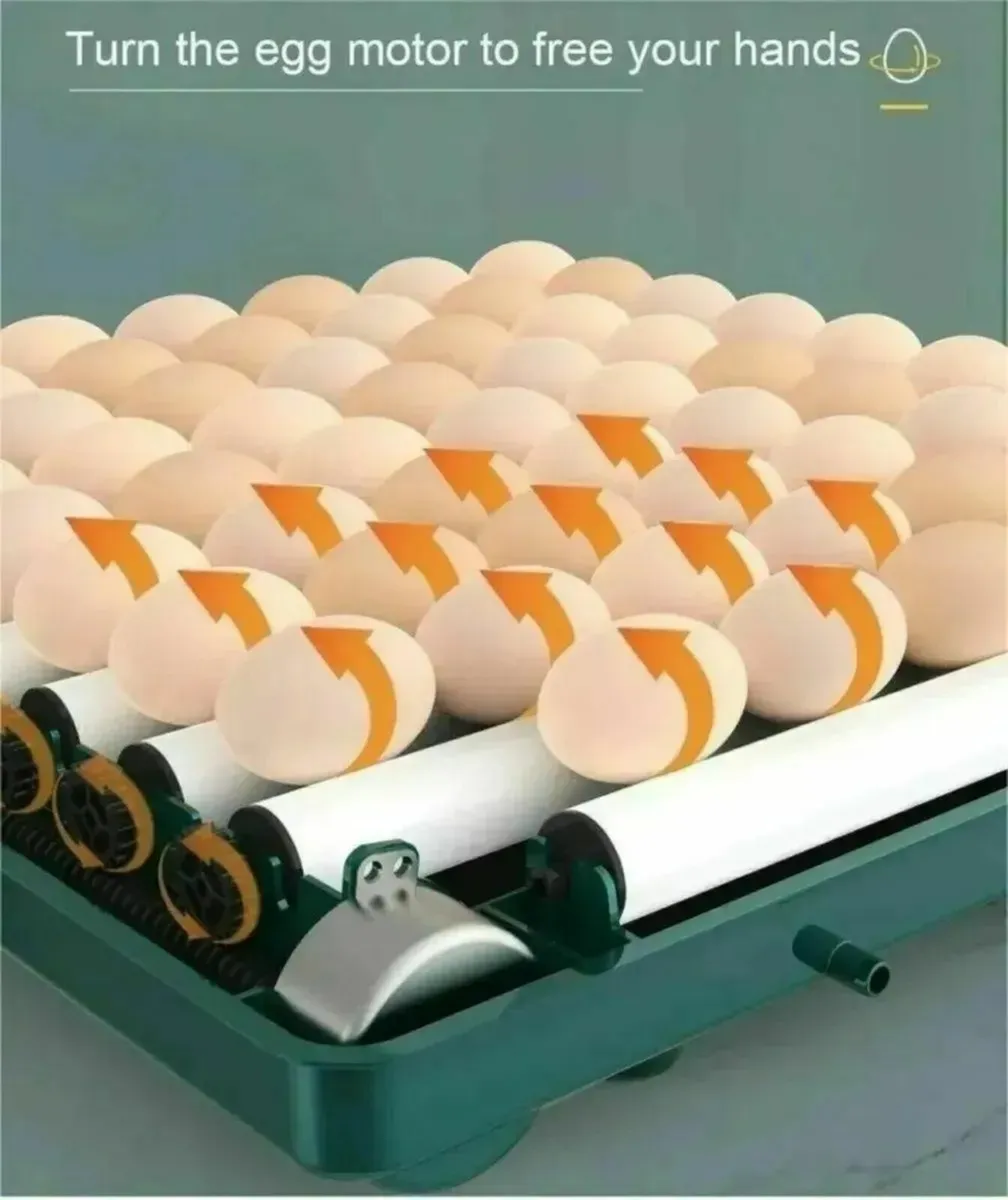 36 Egg Incubator Auto Temp Refill Hatch Machine - Image 2