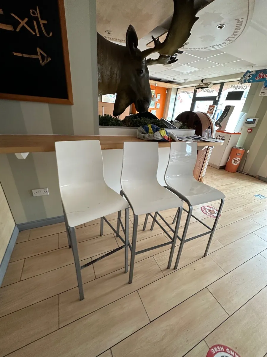 Complete contents of MapleMoose, Pizza Ice cream - Image 4