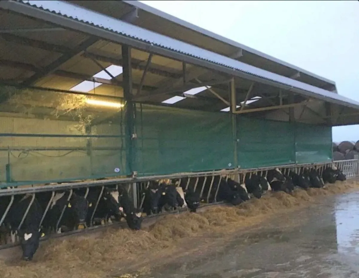 Windbreaker - Image 2