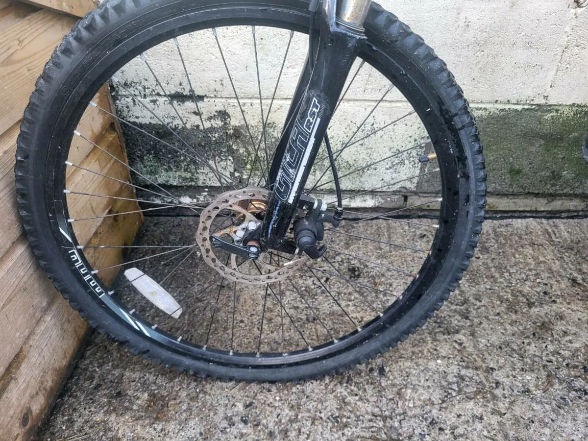 Double disc large frame mens bike - Image 2