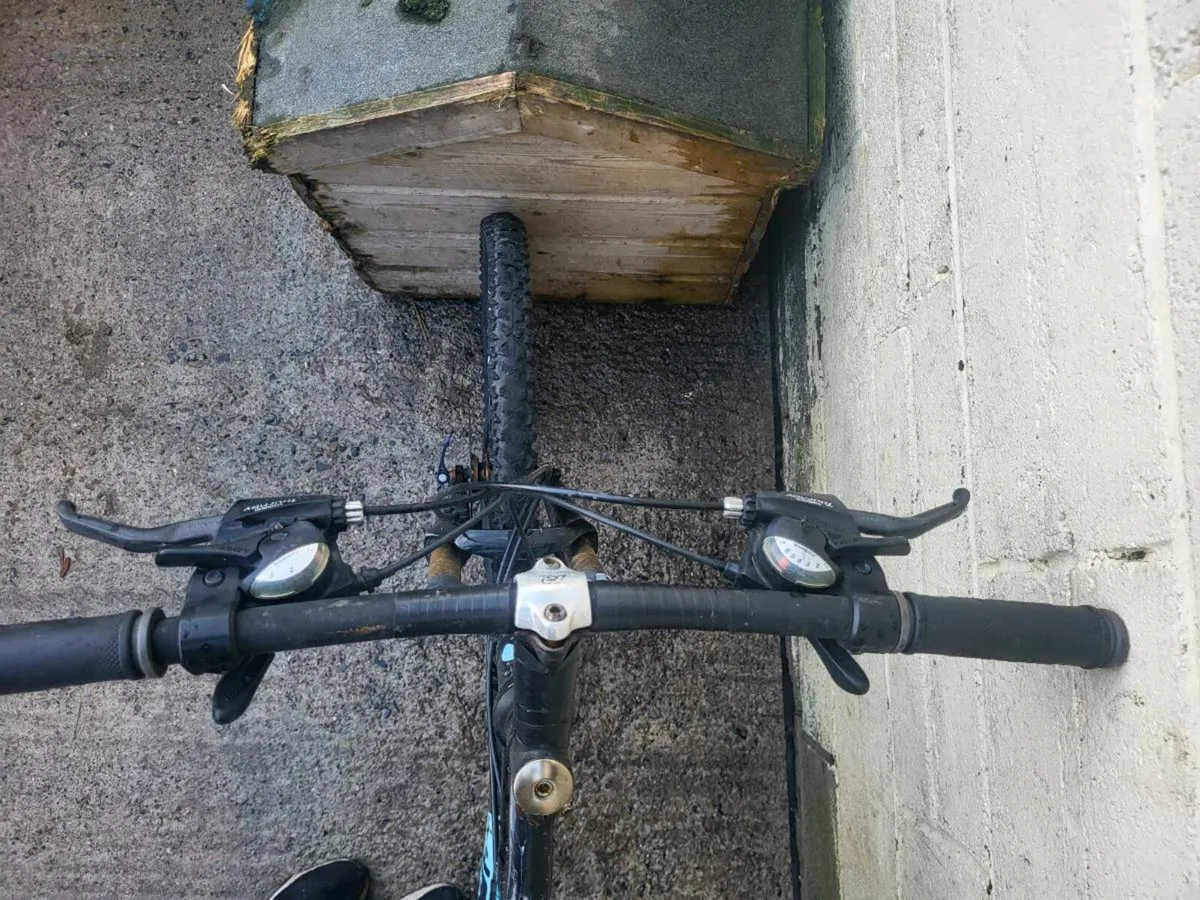 Double disc large frame mens bike - Image 4