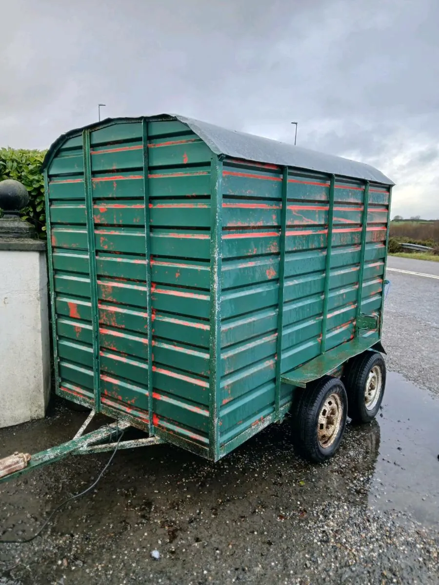 Cow box for sale - Image 1