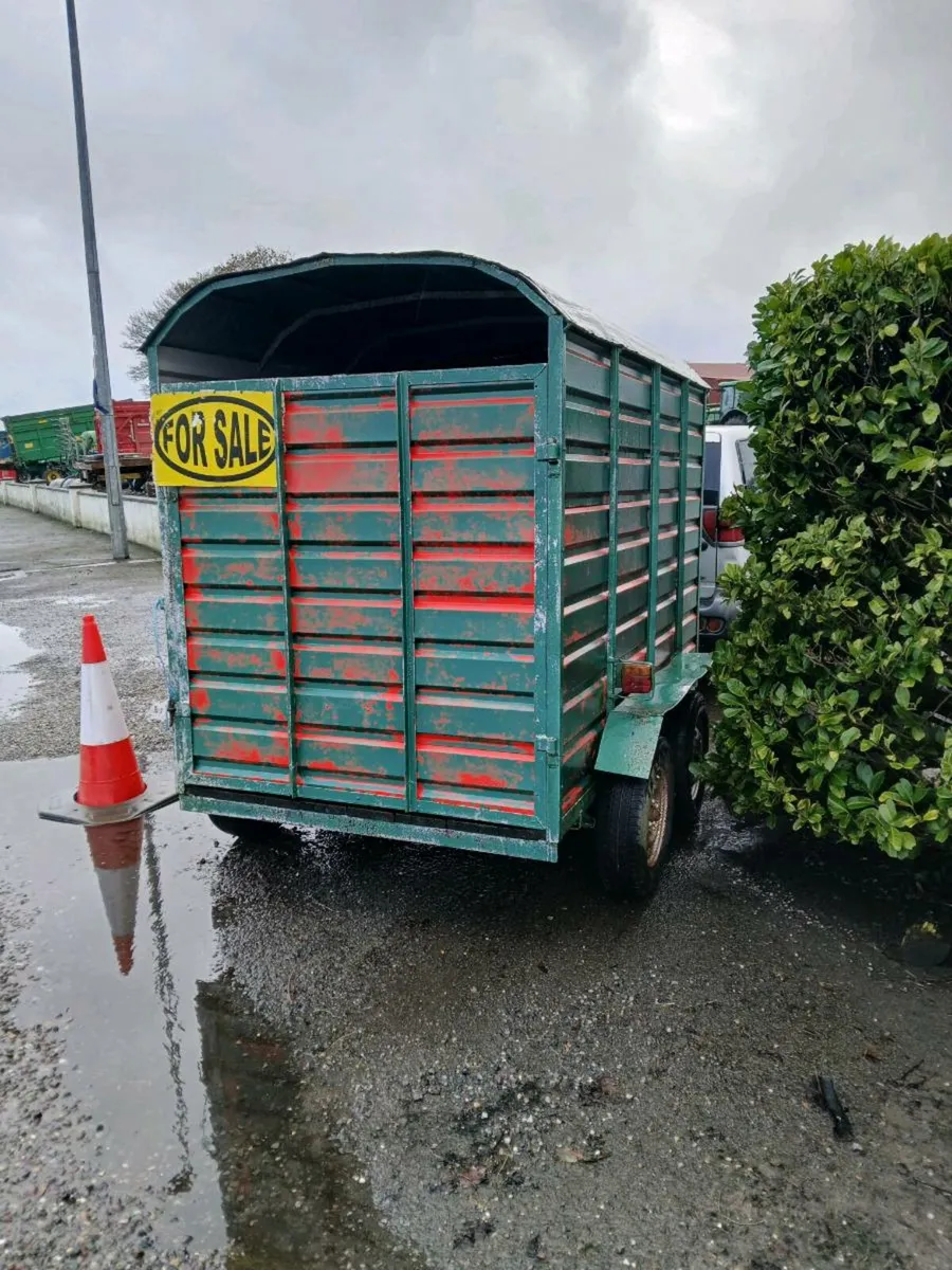 Cow box for sale - Image 2