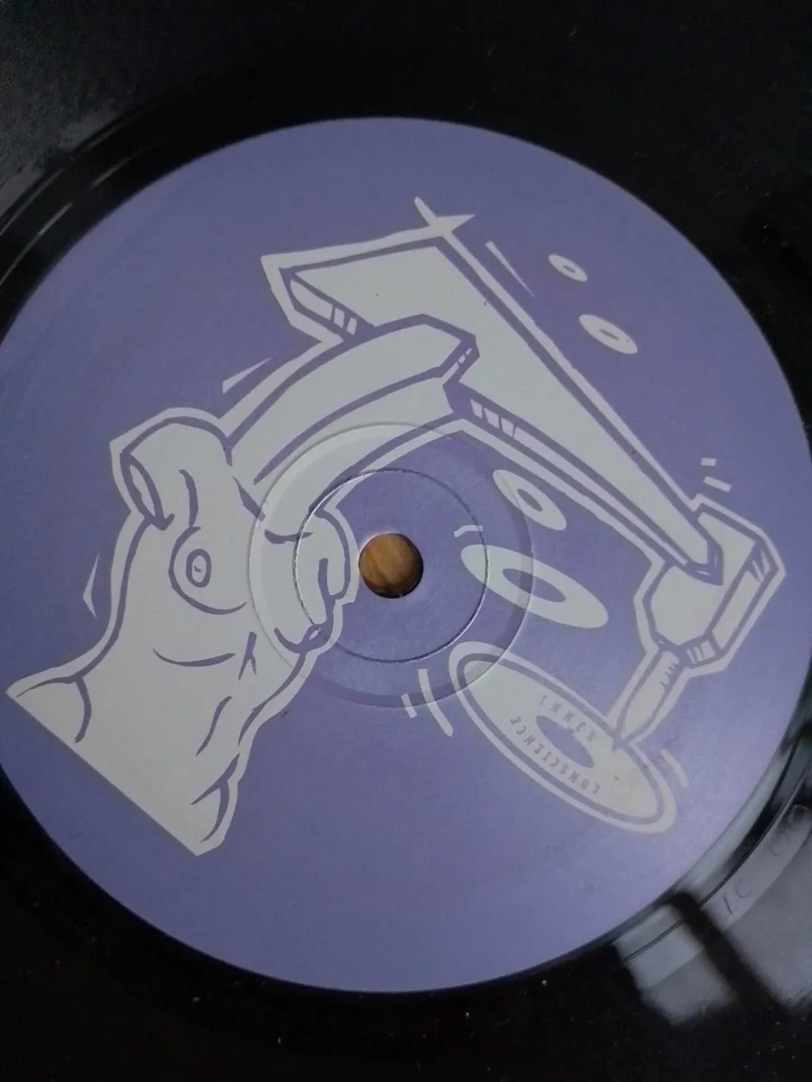 RARE IRISH 12 INCH VINYL INNER CONSCIENCE RECORDS, - Image 3