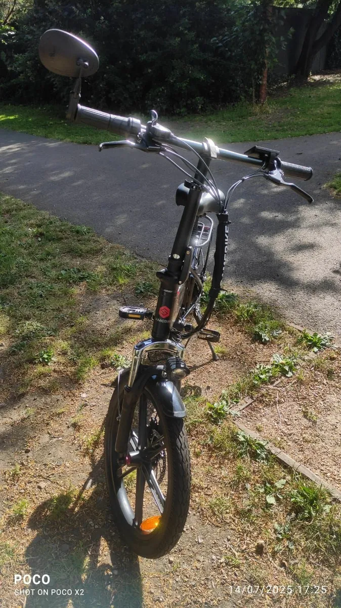 Electric Bike - Image 3